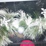 Christmas garland Image 3