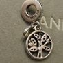 Pandora charm Image 2