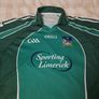 2008 Limerick Jersey Image 3