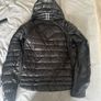 Canada goose hybridge Image 2