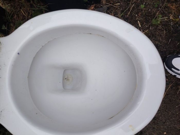 toilet