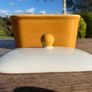 Rare Carrigaline Pottery Full Size Butter Dish Image 3