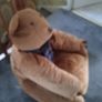 Teddy Bear Bean Bag. - Quick Sale Image 4