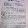 Life & poems of Michael Scanlan Fenian poet Limerick Ireland Irish Image 2
