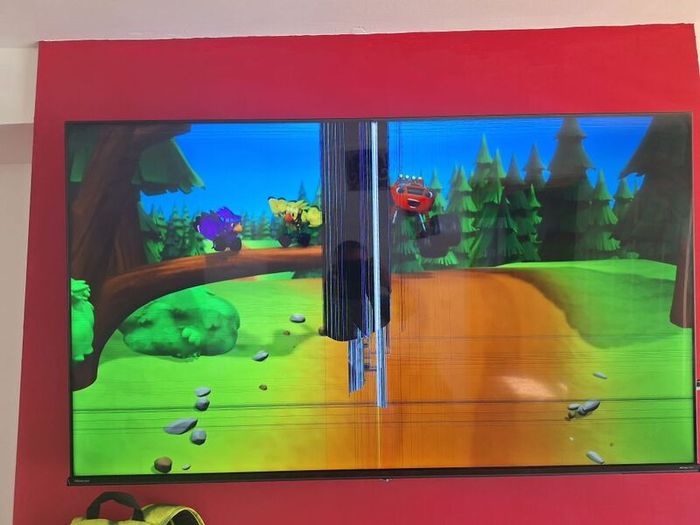Hisense 55" Smart TV Screen Damaged