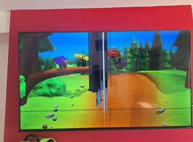Hisense 55" Smart TV Screen Damaged