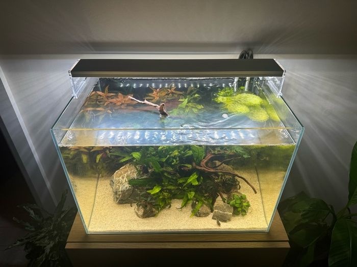 Superfish Scaper 45