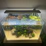 Superfish Scaper 45 Image 6