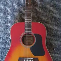 Walden acoustic guitar D450 RS sunburst