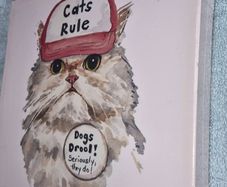 Cat canvas new