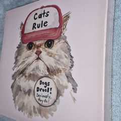 Cat canvas new