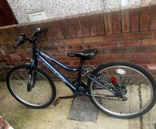 girls apollo 24 inch bike