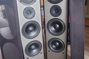 Floor Standing Speakers NSV CT-300W