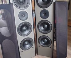 Floor Standing Speakers NSV CT-300W