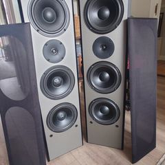 Floor Standing Speakers NSV CT-300W