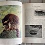 The Living Animals of the World, illustrated book Image 3