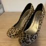 Leopard skin Shoes Image 4