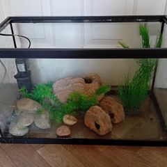 Fish tank