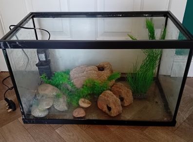 Fish tank