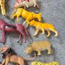 Mix of animals Image 3
