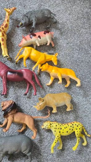 Mix of animals