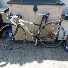 Raleigh Airlite 300