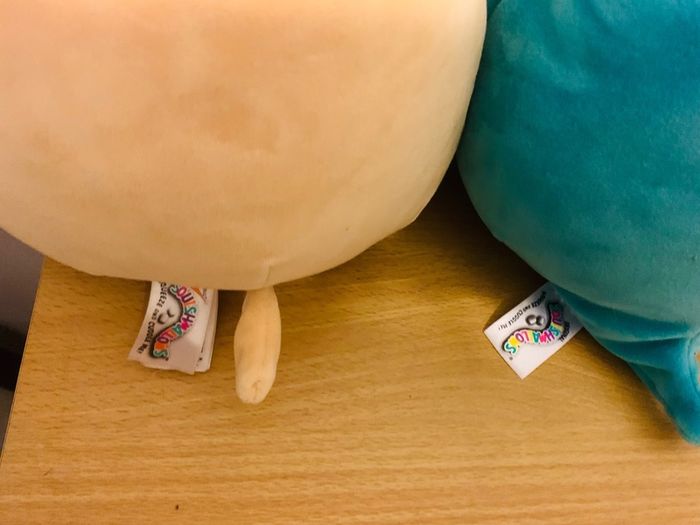 Squishmallows