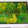 Wall decor 55x77cm natural moss Image 3