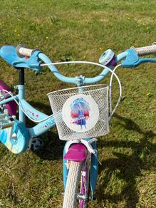 16 Inch Frozen Bike