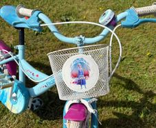 16 Inch Frozen Bike