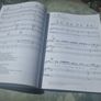 Bon Jovi: These Days (Piano Vocal Guitar) by Bon Jovi .Paperback Book Image 5