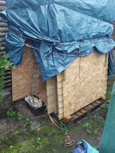 timber shed