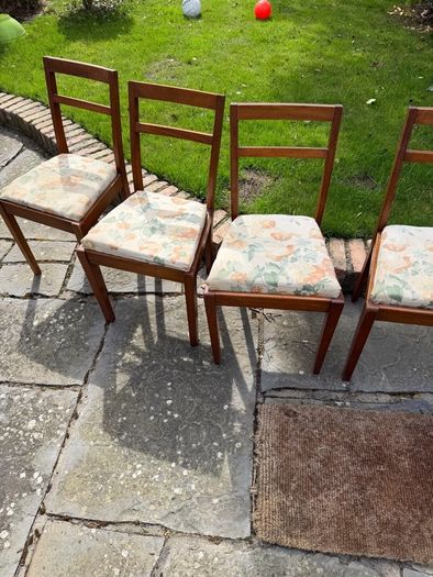 Mahogony chairs