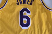 Lakers James vest