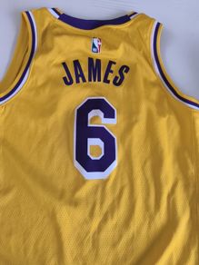 Lakers James vest