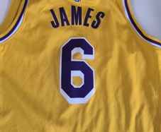 Lakers James vest