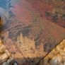 Kevin Tong - The Last Of Us - Screen Print Mondo #255/ 780 Very Rare Poster Image 3