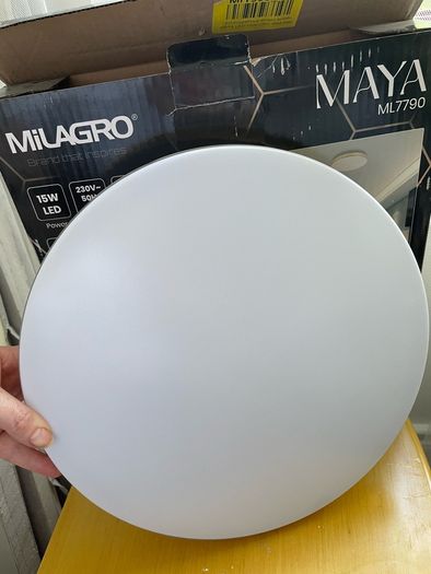 Slim sleek ceiling light