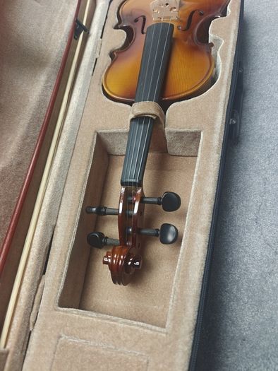 Violin