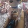 Ziggy the Robo dog Image 3