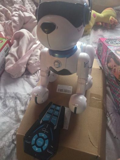 Ziggy the Robo dog