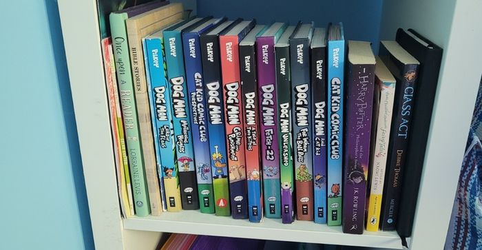 Book Collections: Dogman/ Diary of a Wimpy Kid/ David Walliams Books