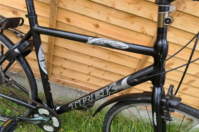 Adult bikes