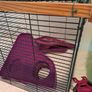 Hamster Cage and Accessories Bundle Image 10