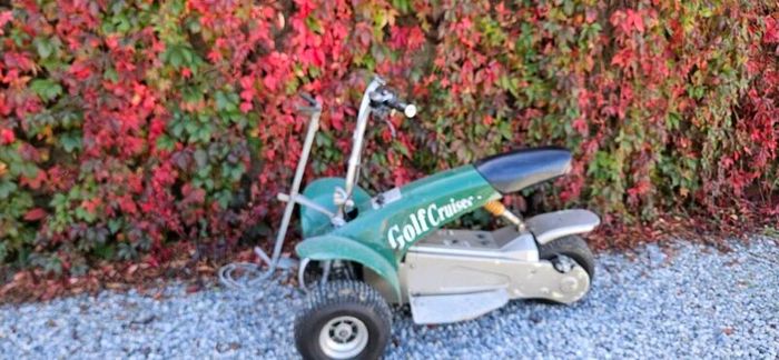 Golf buggy