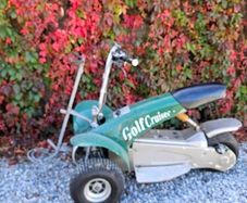 Golf buggy