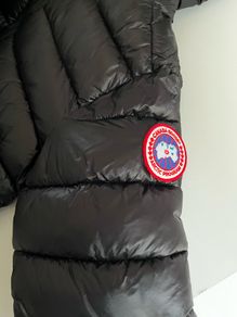 Canada goose medium