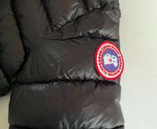Canada goose medium