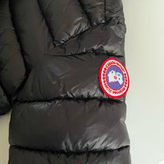 Canada goose medium