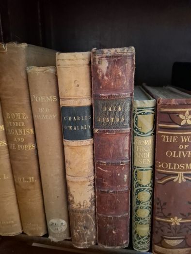 large collection vintage antiquarian books. 4 complete shelves.